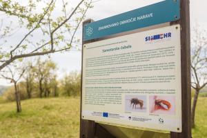 Cerckova domacija_april 2020_POMANJSANE-29-11